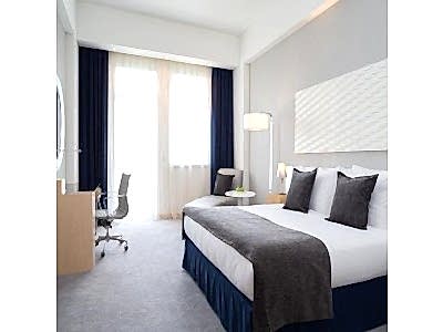 Шторы для гостиниц фото в интерьере пример 3194