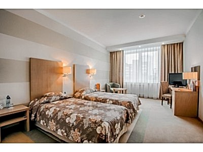 Шторы для гостиниц фото в интерьере пример 3197