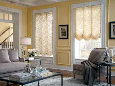 Французские шторы в гостиной фото в интерьере пример 844