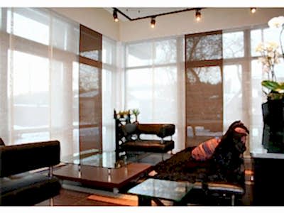 Японские шторы в гостиной фото в интерьере пример 1198