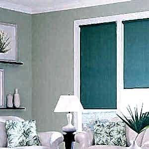 Рулонные шторы в гостиной фото в интерьере пример 1437