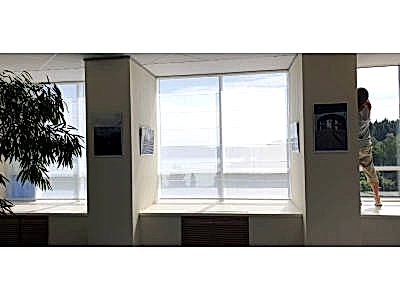 Пошив штор пример 2272 : 5