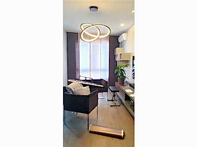 Пошив штор пример 2419 : 4