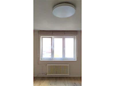 Пошив штор пример 2656 : 3