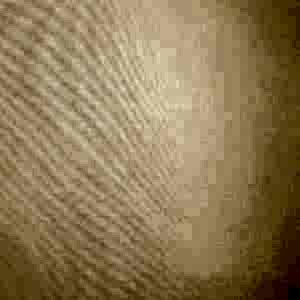 Ткань: Ashlyn / цвет: 030 / Коллекция: Me Casa