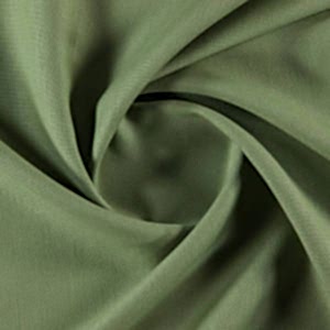 Ткань: Canvas / Цвет: Basil / Коллекция: Elegancia 